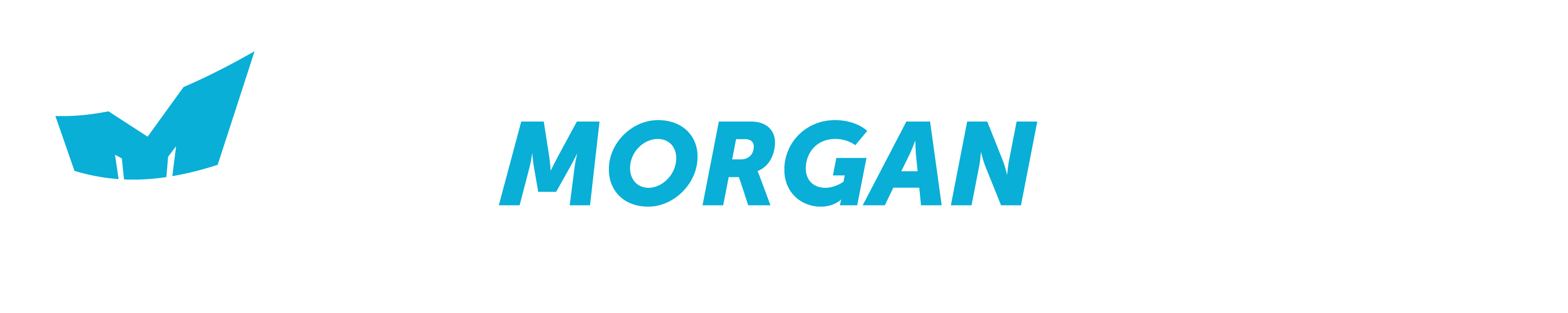 The Morgan Report